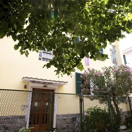 Pippo * Levanto